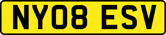 NY08ESV