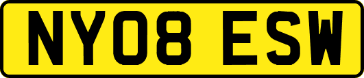 NY08ESW