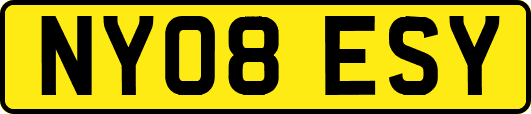 NY08ESY