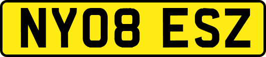 NY08ESZ