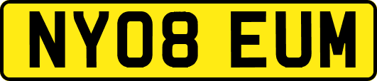 NY08EUM