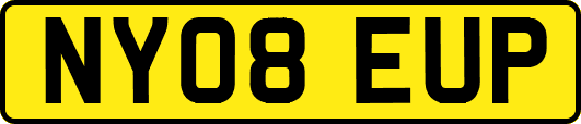 NY08EUP