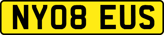 NY08EUS