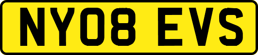 NY08EVS