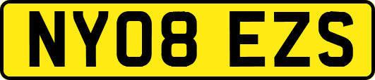 NY08EZS