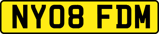 NY08FDM