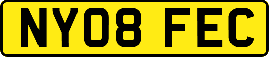 NY08FEC