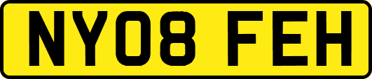 NY08FEH