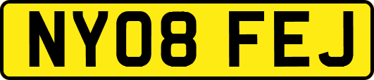 NY08FEJ