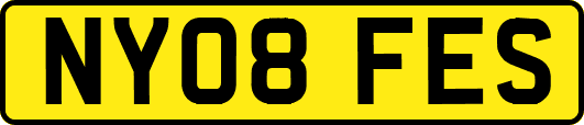 NY08FES