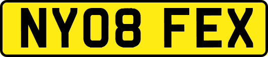 NY08FEX
