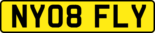 NY08FLY