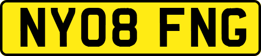 NY08FNG