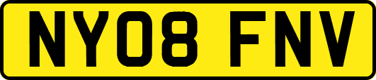 NY08FNV
