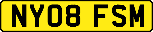 NY08FSM