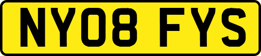 NY08FYS