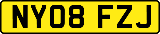 NY08FZJ