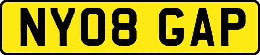 NY08GAP