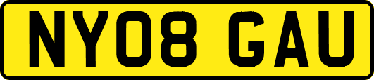 NY08GAU