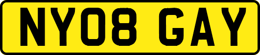 NY08GAY