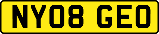 NY08GEO