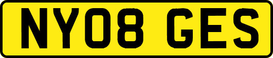 NY08GES