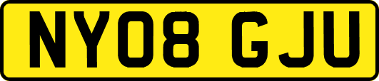 NY08GJU