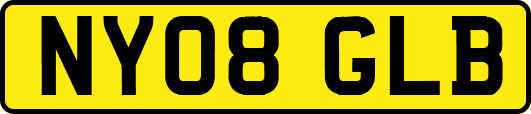 NY08GLB