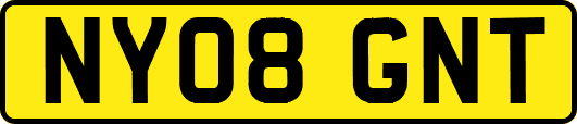 NY08GNT