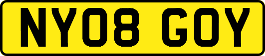 NY08GOY