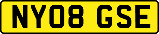 NY08GSE