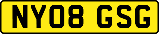 NY08GSG