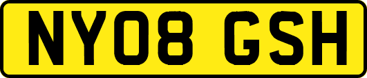 NY08GSH
