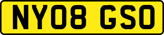 NY08GSO