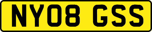 NY08GSS
