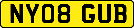 NY08GUB