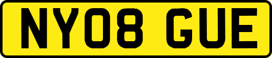 NY08GUE
