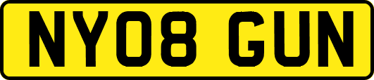 NY08GUN