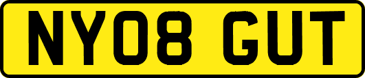 NY08GUT