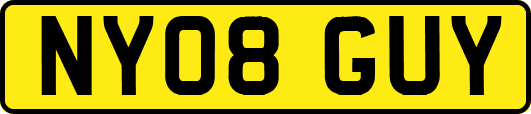 NY08GUY
