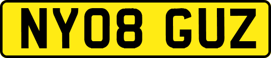 NY08GUZ