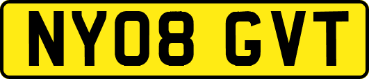 NY08GVT