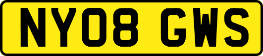 NY08GWS