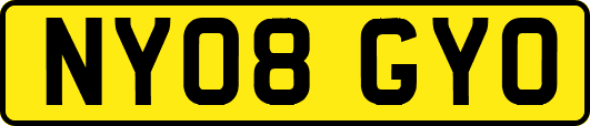 NY08GYO