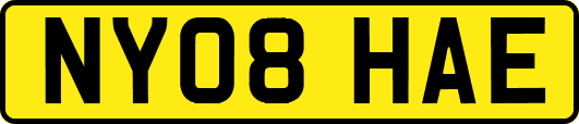 NY08HAE