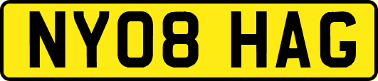 NY08HAG
