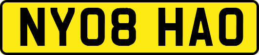 NY08HAO