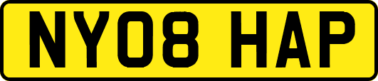 NY08HAP