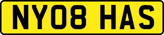 NY08HAS