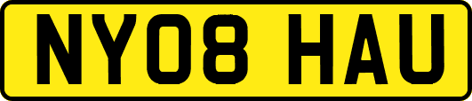NY08HAU